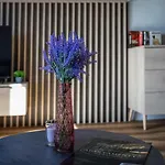 Park A25 -z Dostepem Do Basenu, Sauny, Jacuzzi, Silowni Apartamento Szklarska Poręba